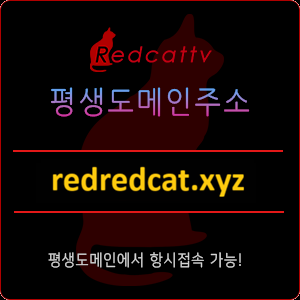 평생도메인